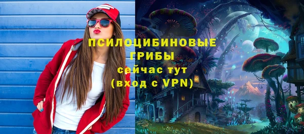 гидра Алзамай