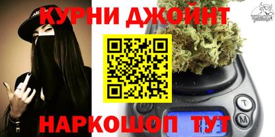 сатива Братск