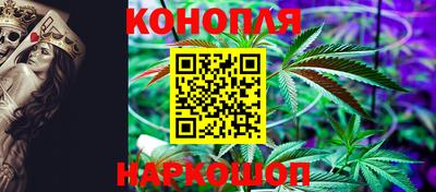дмт Брянск