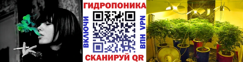 Канабис White Widow  kraken ССЫЛКА  Находка 